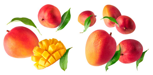 Fresh ripe mango falling in the air