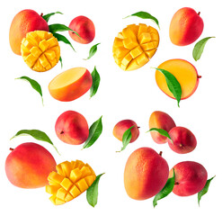 Fresh ripe mango falling in the air