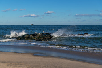 Sea Splash