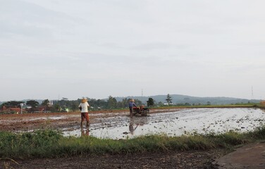 farmers are working on the fields
