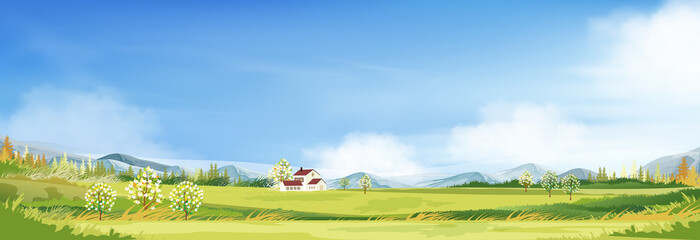 Spring landscape in countryside with farmhouse, green meadow on hills, blue sky and clouds,Vector cartoon Summer or Spring,Panoramic village with grass field and wildflower, Holiday natural background