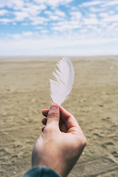 Boy Fingers Holding A White Feather Of A Bird