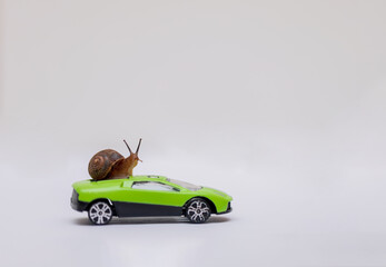 Snail on a green car on a light background. Mammal on a vehicle, a wild animal. Macro. Copy space.