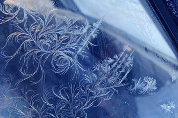 The patterns made by the frost
