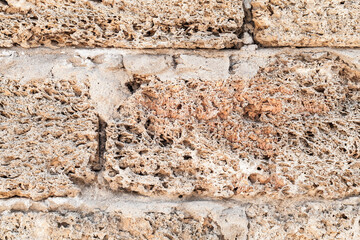 Grungy wall made of shell rock bricks, closeup