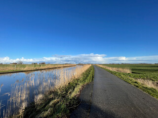 Road next to a canal on a winter day around Akkrum