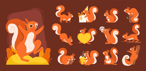 Cartoon squirrel. Wild wooden animals various poses squirrels on branch with nuts nowaday vector funny set. Squirrel rodent and mammal woodland illustration - obrazy, fototapety, plakaty