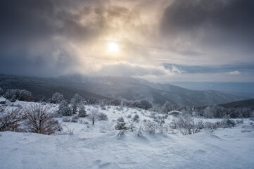Fototapeta premium Beautiful winter landscape with snow-capped mountain peaks and frozen bushes on the ridge at sunrise