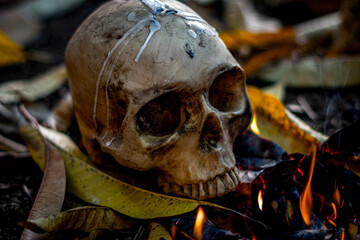 skull and fire