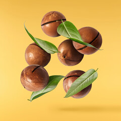 Delicious Chocolate flying in the air. High resolution levitation concept