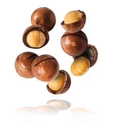 Fresh tasty macadamia nuts falling in the air