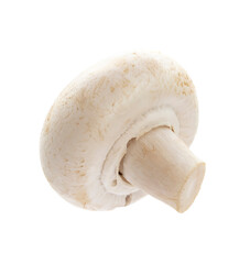 champignon isolated on a white background.