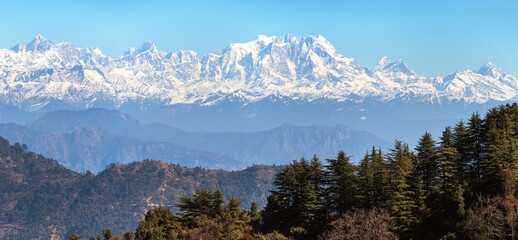 Mount Chaukhamba and woodland, Himalaya