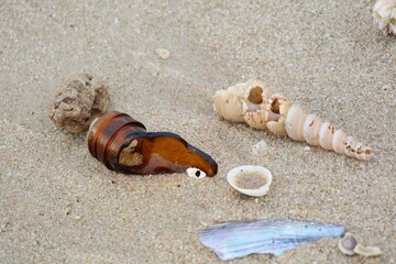 Garbage, broken glass bottle, on the beach with shells on sand in summer. Environment and nature concept.