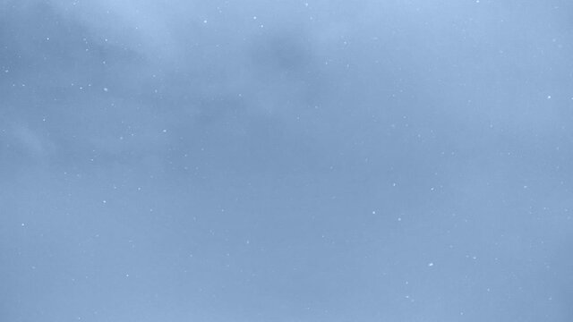 snowfall endless loopable winter sky footage