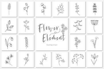 collection flower element lineart illustration.