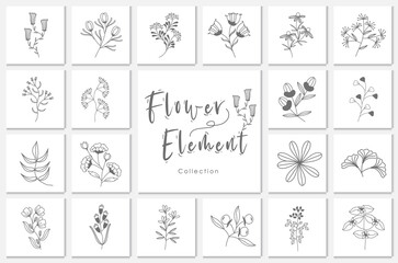 collection flower element lineart illustration.