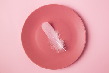 Three pink feathers in the flat plate. Minimal concept idea for diet or eat little