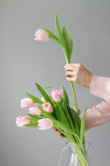 pink tulips with green leaves in a glass vase, a woman holding tulips in her hands, florist, floristry, gift, bouquet, bouquet for a girl, a bouquet of tulips, place for text, place for an inscription