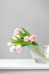 pink tulips in a large glass vase stand on the table, on a gray background, space for text, free space, floristry, florist, tulip bouquets, bouquet, valentine's day, international women's day,flowers