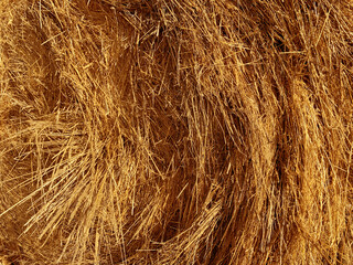 Close up of hay