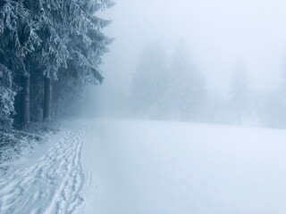 Nebelige Winterlandschaft am Waldrand mit Schnee und Spuren im Schnee