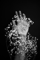 Hands and plants. Dry flowers and herbarium in the hands of a girl, macro photography. Space for text