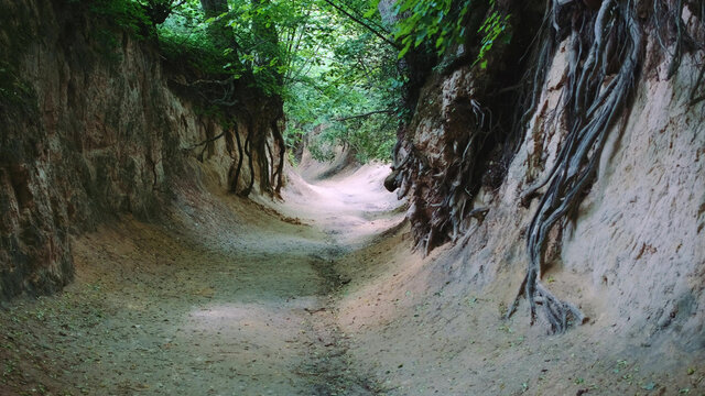 Full shot of loess ravine in Kazimierz Dolny, Poland. Amazing natural monument