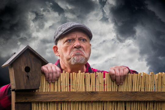 A curious and aggressive neighbor looks over a garden fence. Dramatic storm clouds are in the background.
