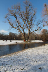 Winter Idylle im Englischen Garten, München: Der renaturierte Schwabinger Bach umgeben von alten Bäumen und Kies