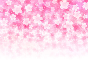Fototapeta premium 桜の背景イラスト