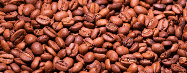 Roasted arabica coffee bean full frame backdrop background texture