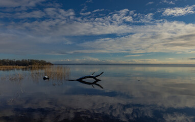 Lough Neagh, Randalstown forest Park, County Antrim, Northern Ireland, Large freshwater lake
