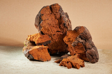 Natural chaga mushroom pieces on a beige background. Inonotus Obliquus is a medical plant.