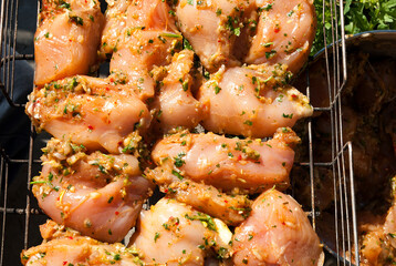 BBQ chicken fillet. Raw chicken fillet marinated in paprika on a grid.