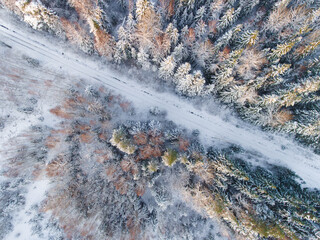 Aerial view of path in scenic winter forest. Beautiful nature. Trees and snow.