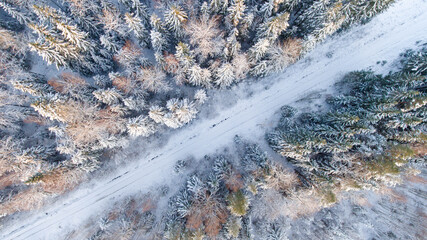 Top drone view of road in winter forest. Naked trees covered by snow. Scenic landscape.