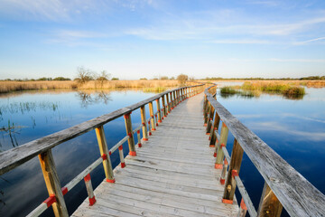 Fototapeta na wymiar pasarelas al amanecer, parque nacional Tablas de Daimiel, Ciudad Real, Castilla-La Mancha, españa, europa