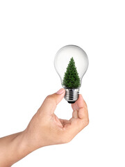 hand holding light bulb with christmas tree inside of on White Background, Inspiration concept