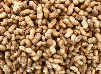 Peanut bin background