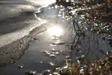 Melting Ice On A Lake With Grass