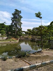 City Park filled with trees, plants and fish ponds in it