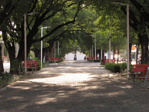 alley in the park