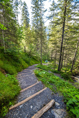 Rosenlaui glacier gorge in the Reichenbachtal valley in Switzerland
