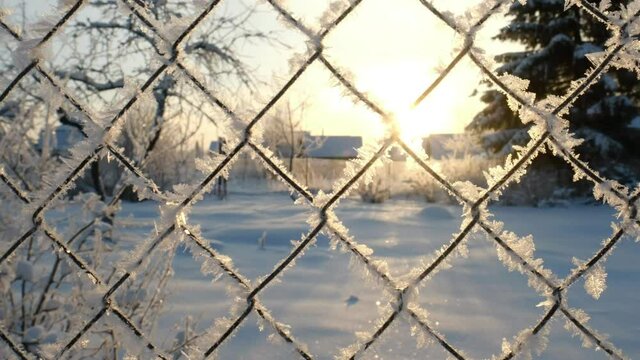 metal fence made of mesh, braided wire. covered with frost, snow.