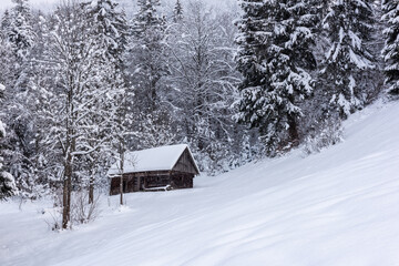 Scenic winter landscape with small wooden lonely house in the snow covered forest on the mountain slope. Outdoor travel natural background, Carpathians, Synevyr pass, Zakarpattia