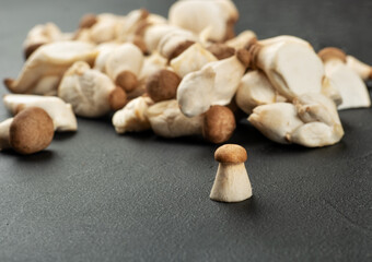 Scattered eringi mushrooms