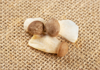 Three mushrooms eringi