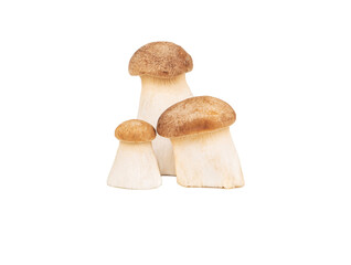 Three mushrooms eringi