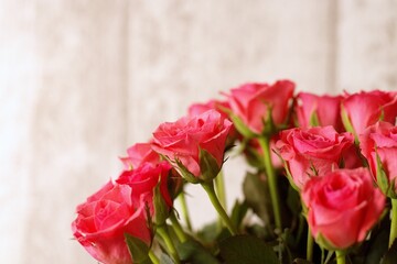 pink roses on wooden background